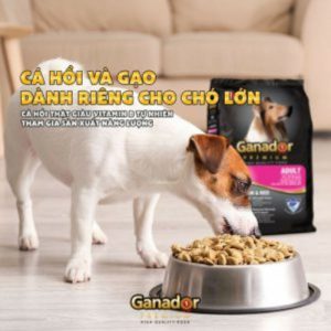 Hạt Ganador Aldult Premium cá hồi và gạo 400gr