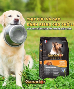 Hạt Ganador Adult Premium thịt cừu và gạo 400gr