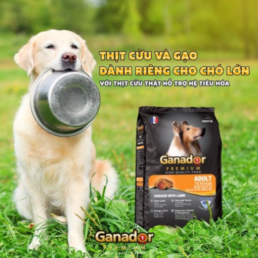 Hạt Ganador Adult Premium thịt cừu và gạo 400gr