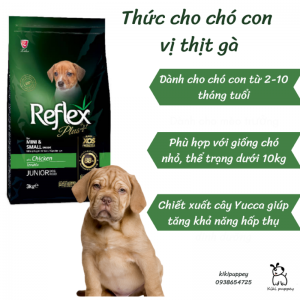 Hạt Reflex Junior (3KG)