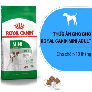 Hạt Royal Canin Adult Dưới 10KG (2KG)