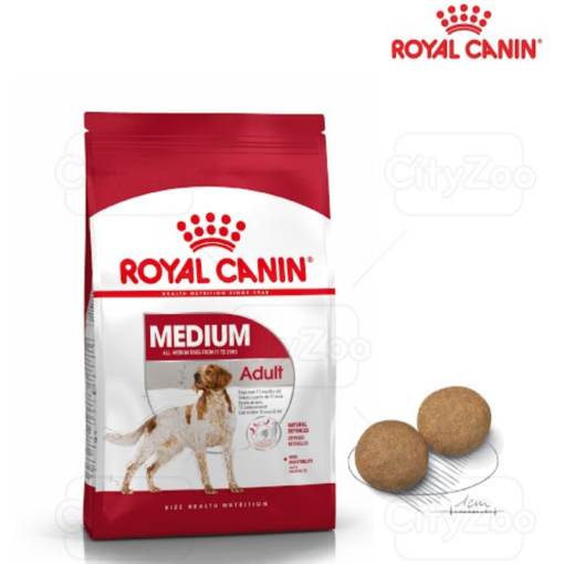 Hạt Royal Canin Adult từ 11 đến 25KG (1KG)