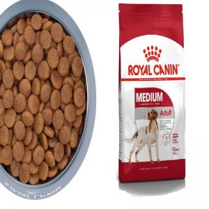 Hạt Royal Canin Adult từ 11 đến 25KG (4KG)