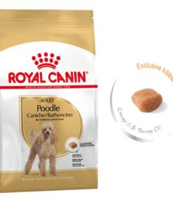 Hạt Royal Canin Poodle Adult 1.5kg