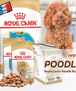 Hạt Royal Canin Poodles Puppy 1.5kg