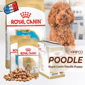 Hạt Royal Canin Poodles Puppy 1.5kg