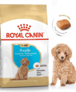 Hạt Royal Canin Poodles Puppy 1.5kg