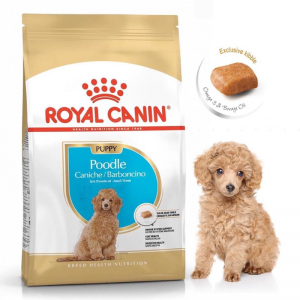 Hạt Royal Canin Poodles Puppy 1.5kg