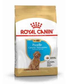 Hạt Royal Canin Poodles Puppy 500gr