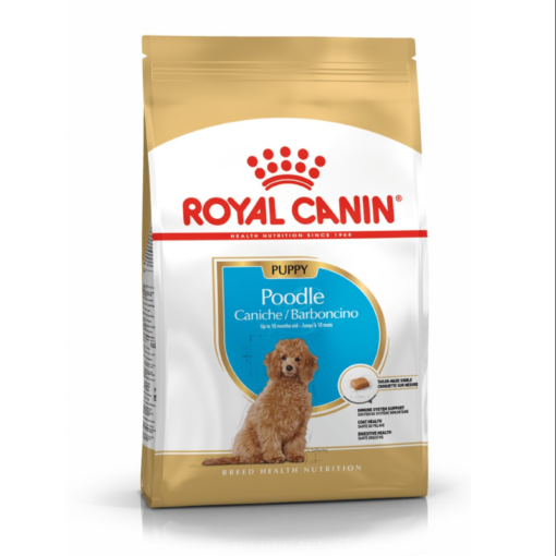 Hạt Royal Canin Poodles Puppy 500gr