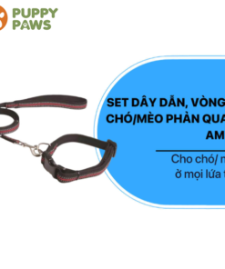 Set dây dẫn và vòng cổ chó mèo phản quang – AMIGO