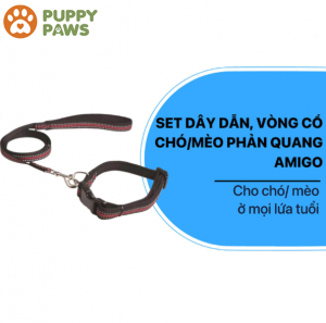 Set dây dẫn và vòng cổ chó mèo phản quang – AMIGO