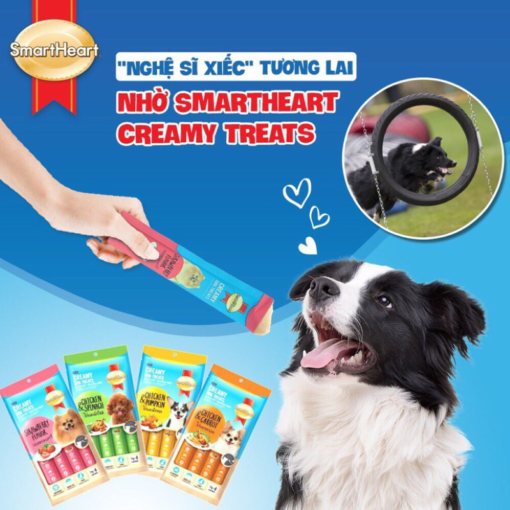 Súp thưởng Smartheart (4 vị)